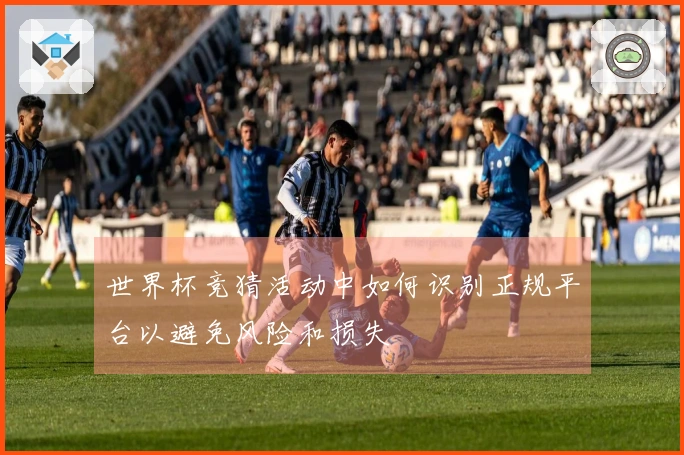 世界杯竞猜活动中如何识别正规平台以避免风险和损失