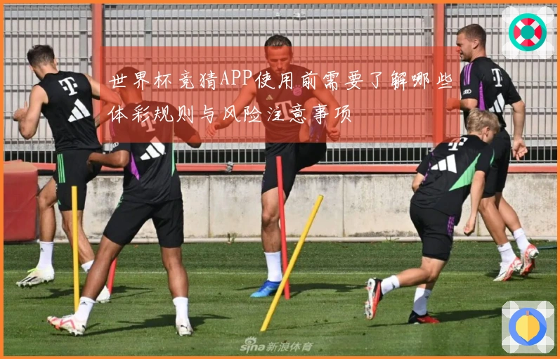 世界杯竞猜APP使用前需要了解哪些体彩规则与风险注意事项